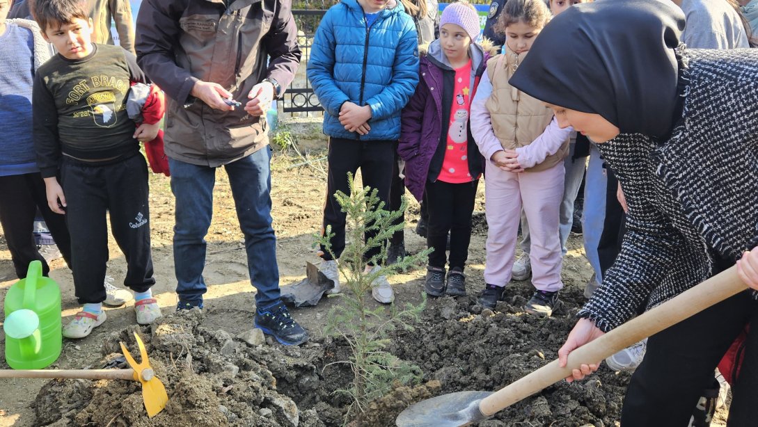 11 Kasım Milli Ağaçlandırma Günü ??